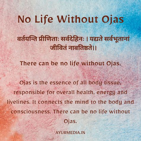 Ojas Ayurveda quote Ayurveda Quotes, Ayurveda Vata, Ancient Ayurveda, Ayurveda Lifestyle, Vata Dosha, Lifestyle Website, Kundalini Awakening, Spirit Soul, Radiant Energy