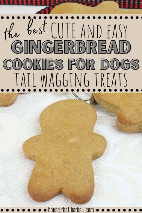 Ginger Snap Dog Treats, Gingerbread Cookies For Dogs, Ginger Dog Treats, Dog Gingerbread Cookies, Doggie Cookies Recipe, Dog Cookies Recipe Easy, Dog Cookies Recipe, Cookies For Dogs, Dogs Recipes