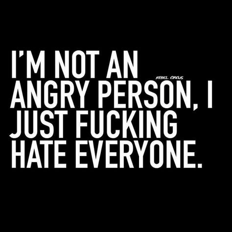 Insulting Quotes, Twisted Quotes, Angry Person, I Hate Everything, I Hate Everyone, Meant To Be Quotes, Hate Everyone, Unspoken Words, I Hate People