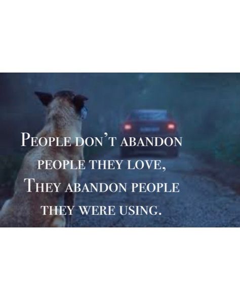 Abandoned dogs quote Abandoned Dogs Quotes, Abandoned Dogs, Dogs Quotes, Dog Quotes, Dogs, Quotes, Animals, Quick Saves