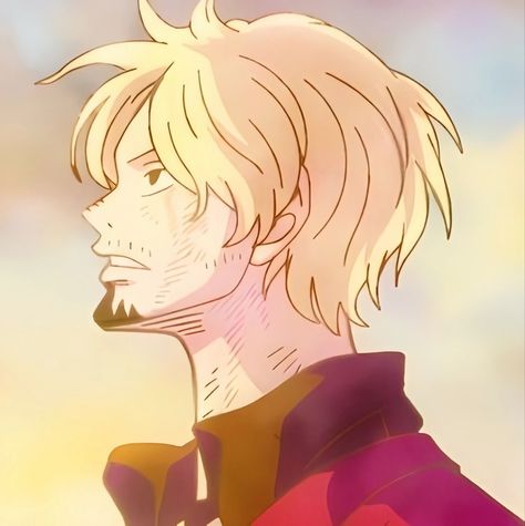 Sanji One Piece Icon, One Piece Photos, Sanji Vinsmoke, One Piece Man, One Piece Crew, Vinsmoke Sanji, One Piece Icons, One Piece Funny, One Peice Anime