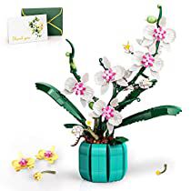 Peach Orchid, Orchid Display, Lego Mini, Orchid Pot, Botanical Collection, Stem Projects, Orchid Plants, Lego Duplo, Floral Display