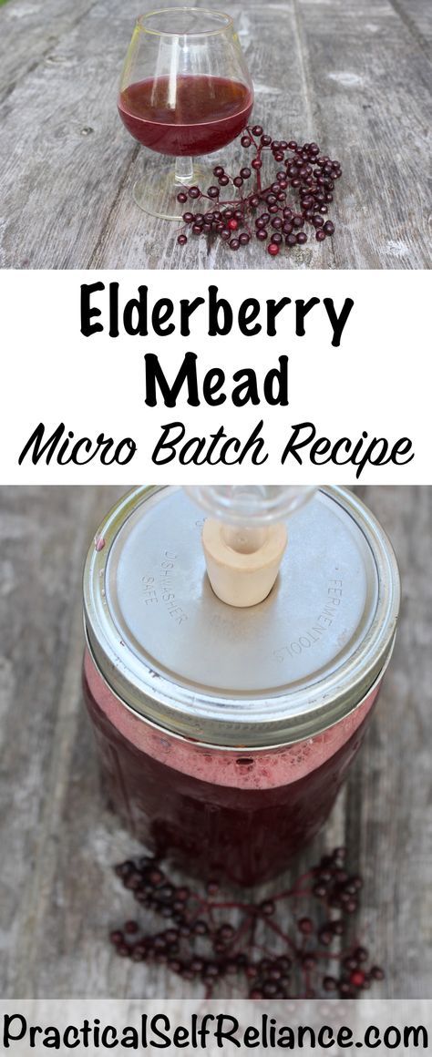 Small Batch Elderberry Mead Elderberry Mead, Mead Wine, Mead Recipe, Homemade Elderberry, Elderberry Recipes, Homemade Liquor, Homemade Soda, Homebrew Recipes, Fermentation Recipes