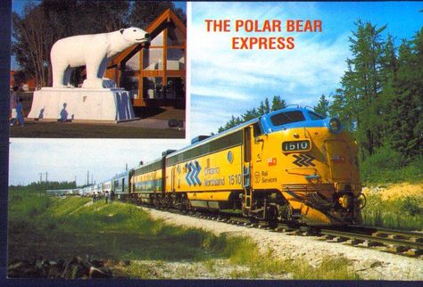 Polar Bear Express (Cochrane, Ontario): Address, Phone Number, Scenic Railroad Reviews - TripAdvisor Polar Bear Express, Kirkland Lake, Ontario Canada Travel, Ontario Place, Rv Resorts, Ontario Travel, Northern Ontario, Scenic Railroads, Fur Trade