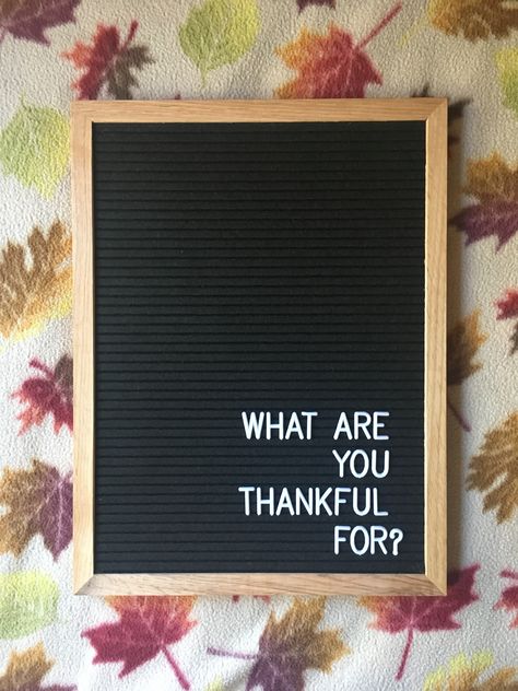 Grateful Letterboard Quotes, Letter Boards For Fall, Thanksgiving Letterboard Quotes Thankful, Letter Board Quotes Thanksgiving, Thanksgiving Felt Board Quotes, Letterboard Thanksgiving, November Letterboard Quotes, November Letter Board, Thanksgiving Letterboard Quotes