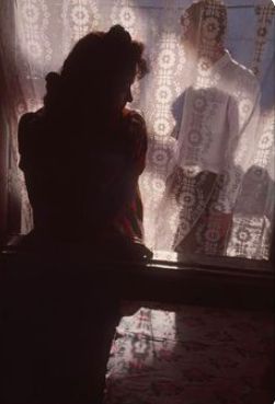 SHADOWS AND SILHOUETTES Gueorgui Pinkhassov, Saul Leiter, Robert Doisneau, Magnum Photos, Ansel Adams, Contemporary Photography, Colour Photography, Documentary Photography, Wedding Humor