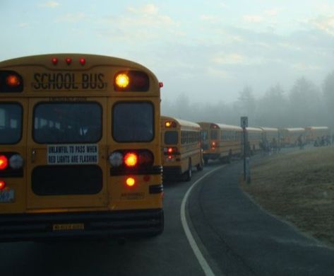 Old School Bus, School Buses, Magic School Bus, Music Career, Magic School, School Bus, Live Music, Buses, Blue Bird