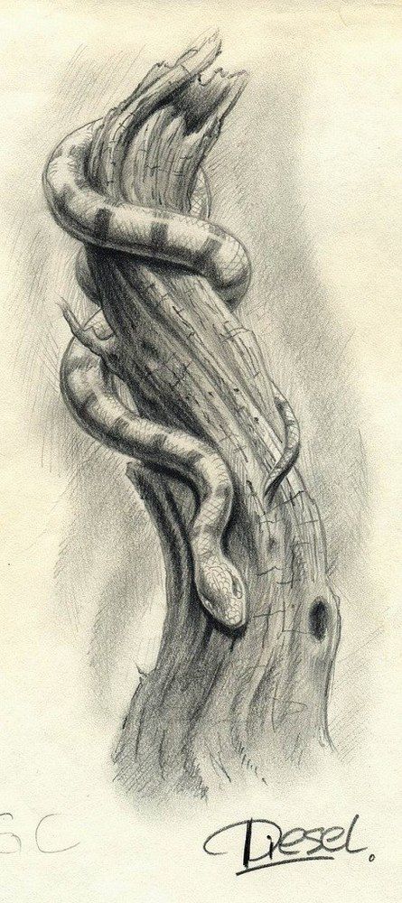 Snake Wrapped Around, Sketches Snake, Snake Sketches, Snake In A Tree Drawing, Snake On A Branch Drawing, Scary Snake Drawing, Creepy Snake Drawing, Snake Eating Itself Drawing, Snake Striking Drawing