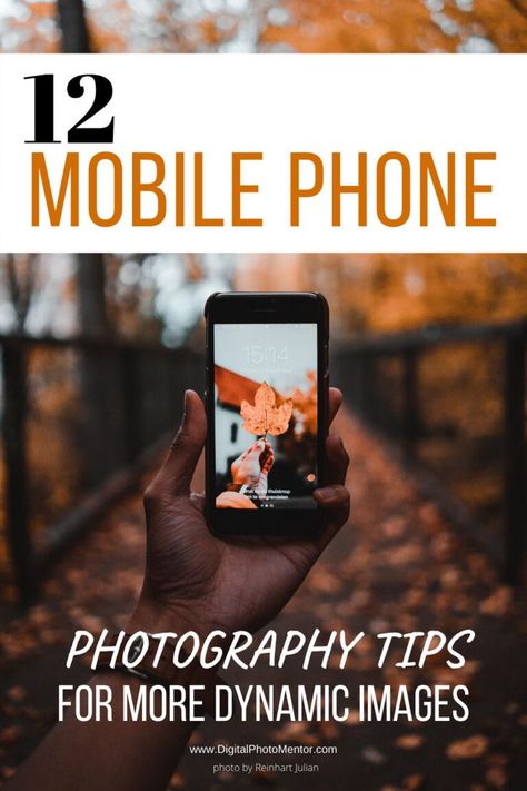 Phone Photography Tips For Beginners, Cell Phone Photography Ideas, Photography Mobile Ideas, Mobile Videography Ideas, Smartphone Photography Ideas, Phone Photography Ideas, Cellphone Photography, Dynamic Photos, Samsung Photography