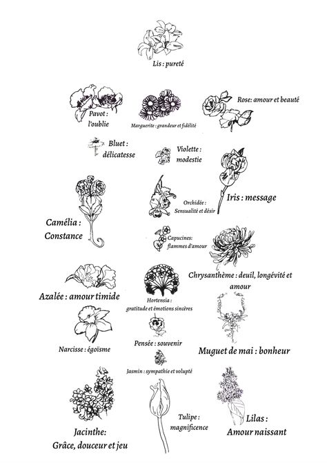 Flower Meanings, Language Of Flowers, Good Vibes Only, Flash Tattoo, Makeup Inspo, Flower Drawing, Floral Art, Flower Tattoo, Tatting