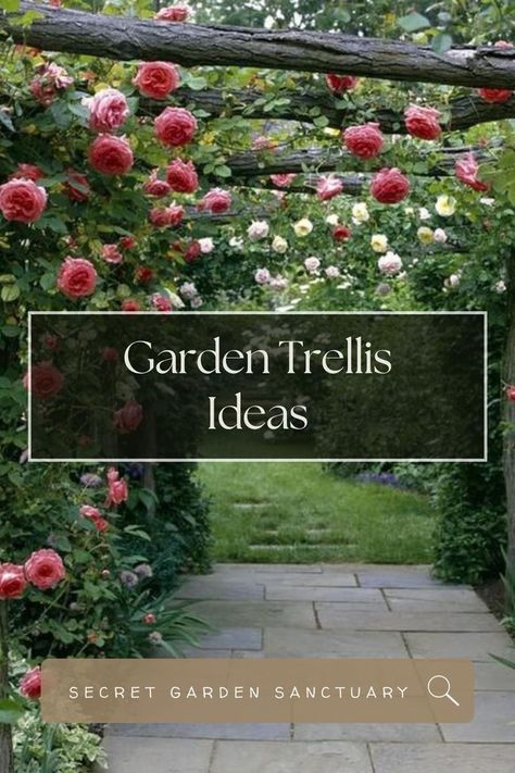 DIY projects and ideas for trellis and other plant supports beautifully designed and created for function in the garden. If you are searching for enhanced privacy or something for your climbing roses to hold onto, you will find all the best tips here! Roses Garden Ideas, Climbing Roses Trellis, Climbing Plant Support, Trellis Ideas, Rose Trellis, Diy Trellis, Climbing Rose, Garden Home Decor, Design Garden