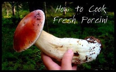 How to Cook Fresh Porcini | Hunger and Thirst Fresh Porcini Mushroom Recipes, Porcini Mushroom Recipes, Recipe Cabbage, Porcini Mushroom, Canned Cranberries, Foraging Recipes, Cabbage Rolls Recipe, Edible Mushrooms, Mushroom Hunting