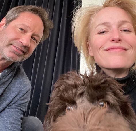 David Duchovny on His Viral Lunch Date with <em>X-Files</em> Costar Gillian Anderson Gillian Anderson David Duchovny, David And Gillian, Mulder Scully, Fox Mulder, Dana Scully, David Duchovny, Star David, Gillian Anderson, X Files