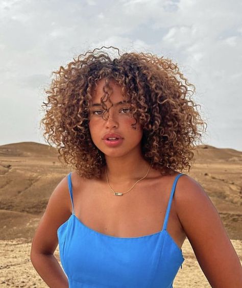 Sunkissed Curly Hair, Blonde 3c Hair, Light Skin Hair Color, Hair Chestnut Brown, Brown Hair Curly, Auburn Brown Hair, Ginger Curls, Curly Hair Color Ideas, Blonde Highlights Curly Hair