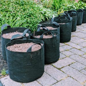 Fabric Grow Bags, Potato Companion Plants, Stackable Planters, Gemüseanbau In Kübeln, Growing Asparagus, Pocket Garden, Felt Bags, Planting Potatoes, Windowsill Garden