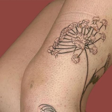 Harriet Hapgood.  Botanical Tattoos. London UK on Instagram: "Cows parsley addition to Eleanor’s wild flower leg today." Cows Parsley, Botanical Tattoos, Cow Parsley, Botanical Tattoo, December 19, Wild Flower, London Uk, Parsley, Wild Flowers