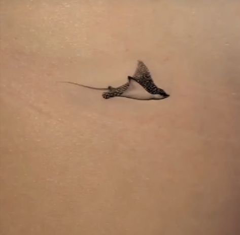 Small Sting Ray Tattoos, Tiny Stingray Tattoo, Sting Ray Tattoo, Hammerhead Tattoo, Stingray Tattoo, Astronomy Tattoo, Ray Tattoo, One Line Tattoo, Animals Tattoo