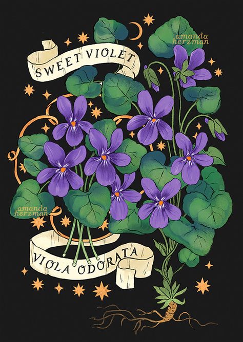 Fungi Illustration, Sweet Violets, Nature Posters, Plant Drawing, Violet Flower, Plant Illustration, Plant Art, 2d Art, Art Journal Inspiration