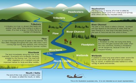 Fluvial Depositional Landforms | Types of Deltas | PMF IAS Delta Landform, Delta River, Geography Themes, Fantasy Terrain, River Mouth, Geography For Kids, Geography Lessons, River Delta, Grade 5