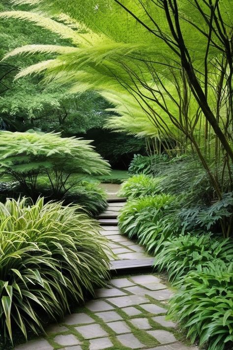 10 Best Tall Shade Plants Shade Garden Plans Layout, Shady Backyard Landscaping, Backyard Shade Garden, Shade Landscaping Front Yard, Shade Garden Design Layout, Tall Shade Plants, Hakone Grass, Garden Scenery, Pleasure Garden