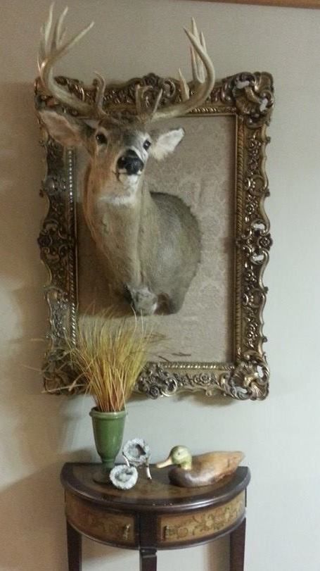 Marty's deer. If it is going to hang in my house it has to fit the decor. Dear Mount Decor, Mounted Deer Head Decor, Deer Mounts In Living Room, Deer Heads Living Room, Cow Horns Decor, Deer Living Room, Deer Mount Decor, Rustic Lodge Decor, Deer Heads Mount