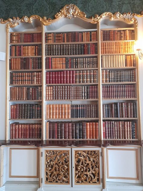 Library, harry Potter ,widgets Rococo Bookshelf, Academia Library, Dark Academia Library, Bedroom Library, Fancy Bedroom, Vintage Bookshelf, Library Shelves, Book Shelf, Fine Furniture