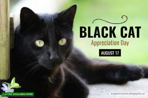 BANNERS: BLACK CAT Appreciation Day | August 17 (#BlackCatAppreciationDay) National Black Cat Appreciation Day, Black Cat Day, Black Cat Appreciation Day, Facebook Engagement Posts, Engagement Posts, Birthday Pics, Facebook Engagement, Birthday Banner Design, Bad Reputation