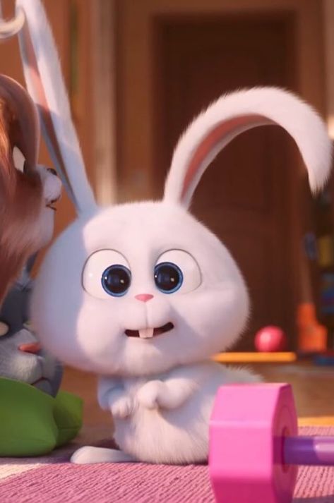 🗝𝖪𝗁𝗎𝗇𝗃𝖺𝖾𝖿𝖺𝗁 & 𝔪𝔬𝔫𝔰𝔱𝔢𝔯🕯 on Twitter: "… " Secret Life Of Pets, Secret Life, The Secret, Twitter, Pink