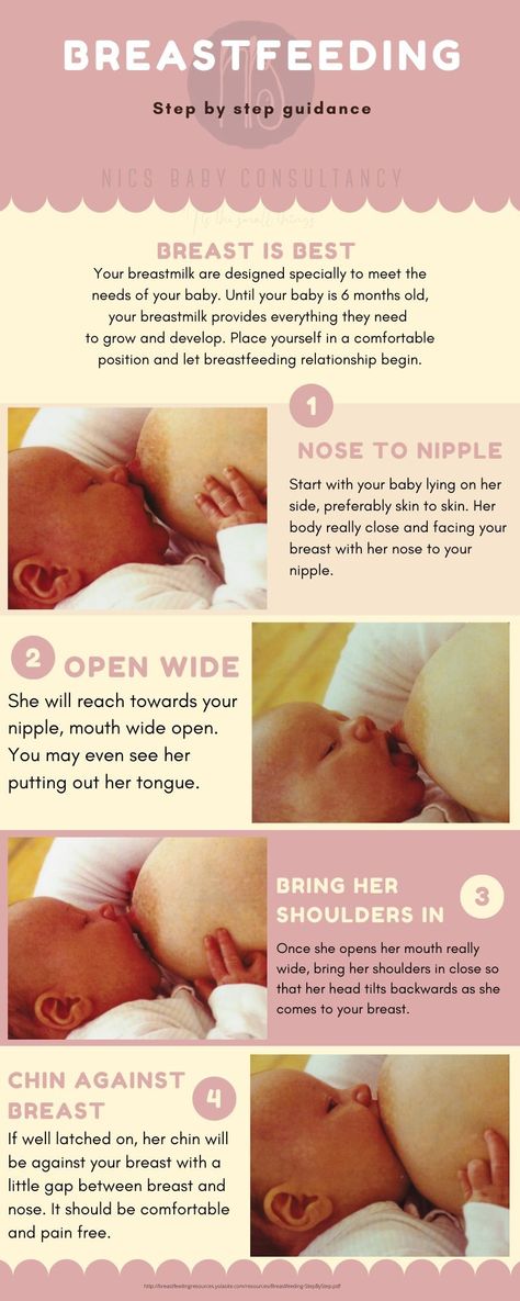 Celebrating Breastfeeding week 2020 National Breastfeeding Week, Pregnancy Herbs, Breastfeeding Latch, Extended Breastfeeding, Pregnancy Facts, World Breastfeeding Week, Breastfeeding Week, Pregnancy Help, Pregnancy Info