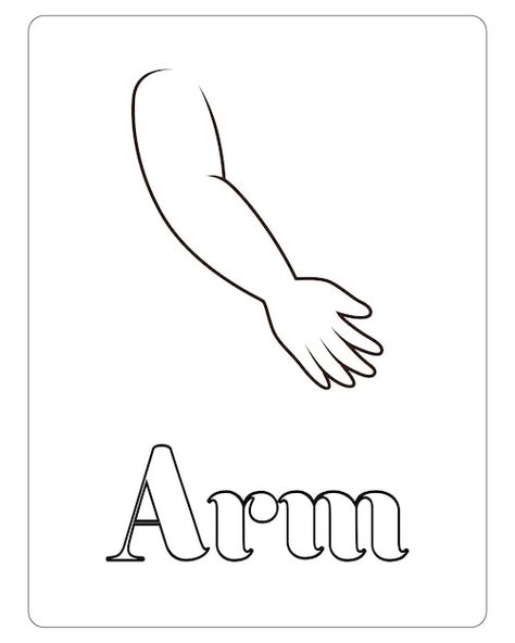 Human body part coloring pages for kids ... | Premium Vector #Freepik #vector #adult-coloring-pages #book-page #book My Body Coloring Page Preschool, Parts Of Body Drawing, Parts Of Body Worksheet, My Body Activities For Preschoolers, Body Parts Drawing, Shoulder Drawing, Body Parts Preschool Activities, Body Parts For Kids, Preschool Color Activities