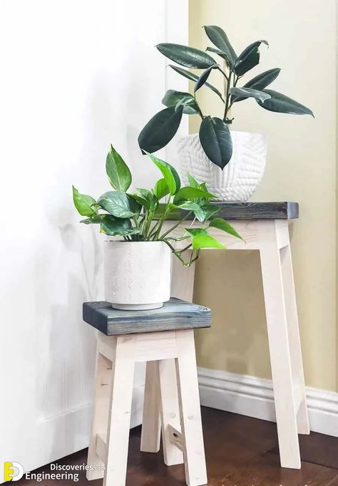 Plant Stand Ideas Indoor, Easy Diy Plant Stand, Potted House Plants, Plant Stand Ideas, Window Plant Shelf, Plant Ladder, Furniture Makeover Inspiration, Diy Mid Century, Wood Plates