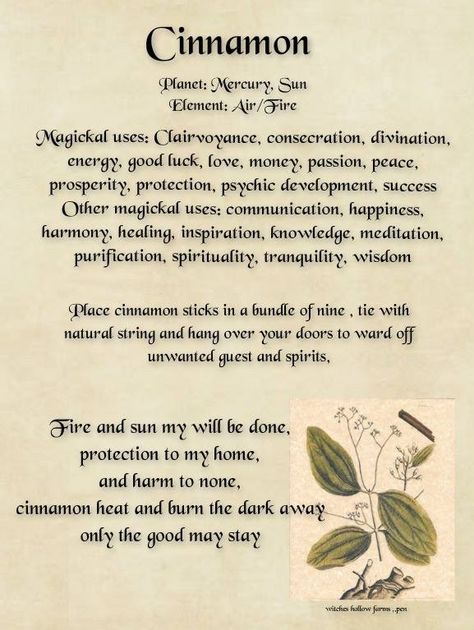 What Does Cinnamon Do In Witchcraft, What Is Cinnamon Good For Witchcraft, Cinnamon Correspondences, Cinnamon Spiritual Meaning, Cinnamon Magick, Cinnamon Witch, Cinnamon Herb, Witches Herbs, Spiritual Herbs