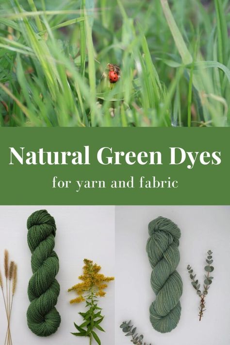 Natural Green Dye, Diy Dye, Dye Flowers, Vegetable Plants, Natural Dye Fabric, Eco Dyeing, Natural Dyeing, Spinning Yarn, Botanical Dyeing