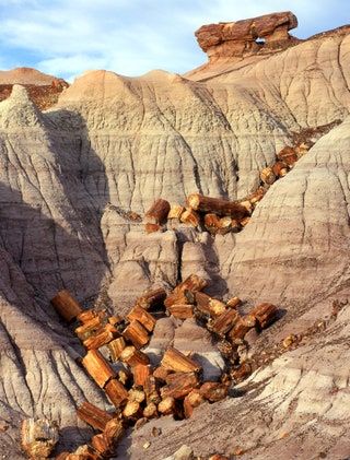 Petrified Forest National Park, Petrified Forest, Geology Rocks, Desert Painting, Natural Phenomena, Best Hikes, Petrified Wood, In The Desert, The Desert