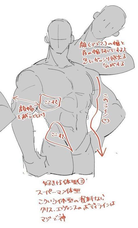 Body Drawing Tutorial, Human Anatomy Art, Body Reference Drawing, Figure Drawing Reference, Body Drawing, Anatomy Reference, Anime Drawings Tutorials, Anatomy Art, Art Poses