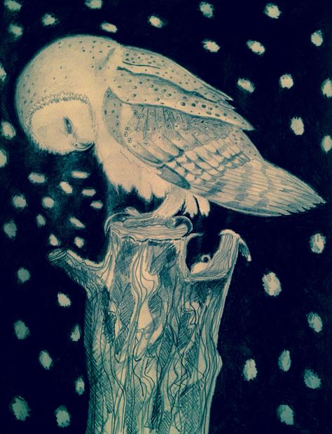 Midnight owl Nest Aesthetic, Owl At Night, Witch Forest, Owl Nest, Owl Art Print, Colour Paper, Owl Art, Pencil Illustration, Original Illustration