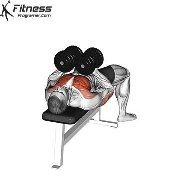 Dumbell Press Chest, Bench And Dumbells, Dumbbell Press Chest, Chest Press Dumbell, Chest With Dumbbells, Dumbbell Chest Exercises, Dumbell Press, Best Chest Exercises, Dumbbell Chest Workout