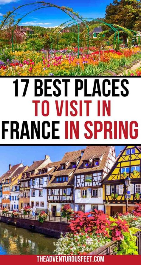 Planning a trip to France during spring but not sure where to go? This post will show you all the best places to visit in spring in France| best places to visit in France in spring| France in springtime| springtime in france| Paris in spring| France in the spring| France in spring destinations. France In Spring, Spring In France, France In April, France Spring, Travel To France, Paris In Spring, Paris Travel Photography, Europe 2024, Trip To France