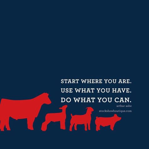 Showing Cattle Quotes, Pigs Quote, Livestock Quotes, Cow Quotes, Club Quote, Show Cows, 4 H Club, Show Cattle, Western Wallpaper Iphone