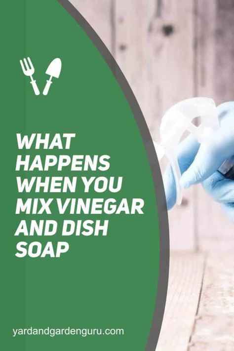 What Happens When You Mix Vinegar And Dish Soap Vinegar And Dish Soap Cleaner, Dawn Dish Soap And Vinegar Cleaner, Palmolive Dish Soap, Uses For White Vinegar, Homemade Dish Soap, Vinegar Cleaner, Dawn Dishwashing Liquid, Washing Soap, Hard Water Stain Remover