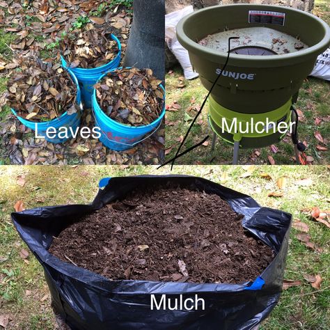 Save all the leaves that fall in your yard and put them in the leaf mulcher to give yourself FREE mulch! #mulch #garden #leaves Leaf Mulching Fall Leaves, Mulch Garden, Leaf Mulch, Rice Hulls, Garden Mulch, Diy Compost, Farm Business, Magnolia Leaves, Backyard Farming