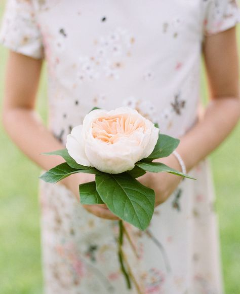 Cheap Wedding Bouquets, Single Flower Bouquet, October Wedding Flowers, Pippin Hill Wedding, Small Wedding Bouquets, Orange Wedding Flowers, Large Flower Arrangements, Minimalist Bride, Ribbon Bouquet