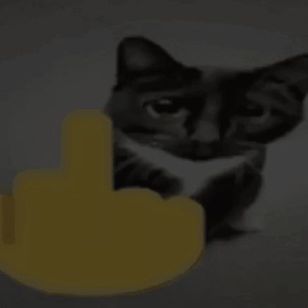 i love this image Cat Pointing At You, Cat Thumbs Up Reaction Pic, Middle Finger Reaction Pic, Laughing Cat Pointing At You, Cat Laughing And Pointing, Silly Cat Thumbs Up, Middle Finger Pfp, Idk Pfp, Cat Middle Finger