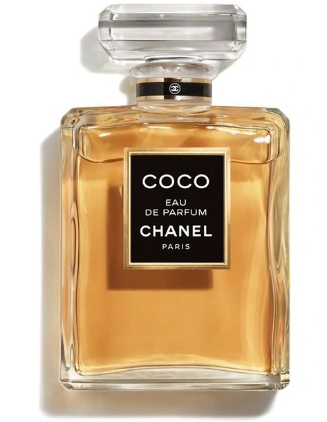 Best Chanel Perfumes of all time | City Perfume Chanel Perfume Aesthetic, Perfumes To Buy, Coco Chanel Perfume, Chanel Perfumes, Chanel N5, Perfume Chanel, Chanel Gabrielle, Chanel Aesthetic, Dream Wishlist