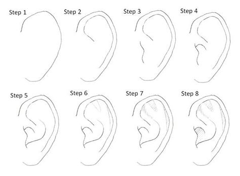 How to draw a realistic ear Manga Ears, How To Draw Ears, Drawing Manga, 얼굴 그리기, Pencil Art Drawings, Drawing Skills, Drawing Lessons, Step By Step Drawing, Eye Drawing