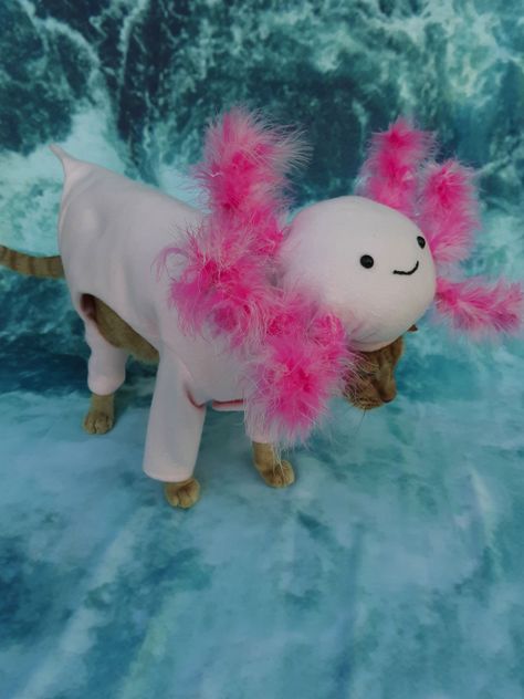 Axolotl | Halloween Love Axolotl Costume, Minecraft Axolotl, Halloween Love, Random Image, Minecraft, Google Search, Halloween