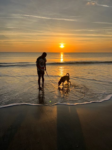 sunrise, shadow, silhouette, husband, dog, dog mom, dog dad, beach, florida, jacksonville, beach sunrise, sun, vacation Walking Dog On Beach, Sunrise Silhouette, 2024 Manifestation, Vision Bored, Gold Design Background, Walking On The Beach, Vision Board Images, Summer Loving, Pentacles