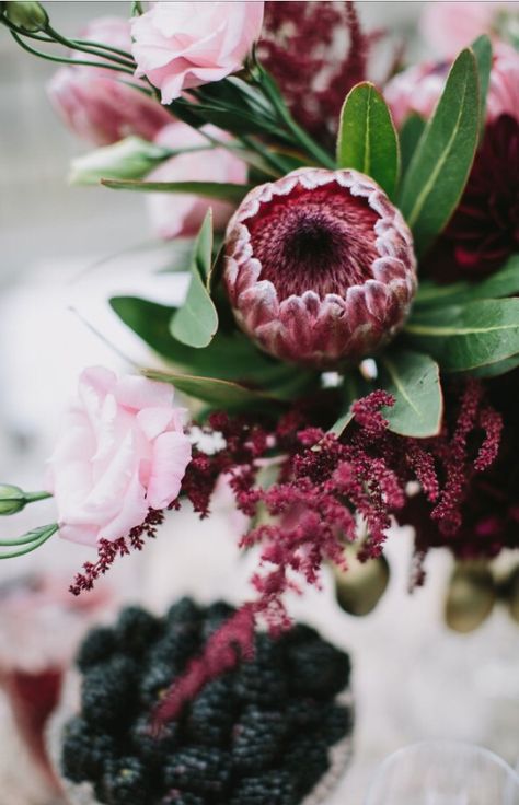 Burgundy protea - pink mink Queen protea Protea Centerpiece, Protea Wedding, Wedding Flower Trends, Succulent Bouquet Wedding, Diy Bouquets, Protea Flower, Beautiful Wedding Flowers, Fall Wedding Flowers, Succulent Wedding