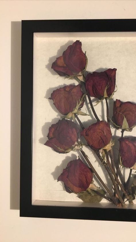 Roses Shadow Box Ideas, Dead Flowers What To Do With, What To Do With Dead Flowers, Resin Flower Art, Pressed Flowers Frame, Dried Flower Petals, Dead Flowers, Flower Shadow, Dried Roses