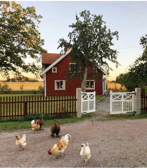 House With Animals Aesthetic, Cottagecore Aesthetic House Outside, Soft Farm Aesthetic, Spain Countryside House, Farm Home Aesthetic, Farm Cottage Aesthetic, Farm Family Aesthetic, Country Lifestyle Farm Life, Country Home Aesthetic